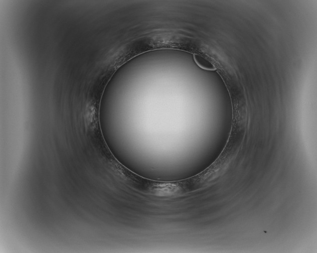 X0000116680087200912141440