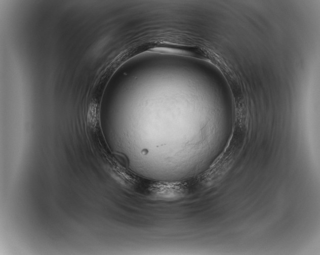 X0000116680093200912141440