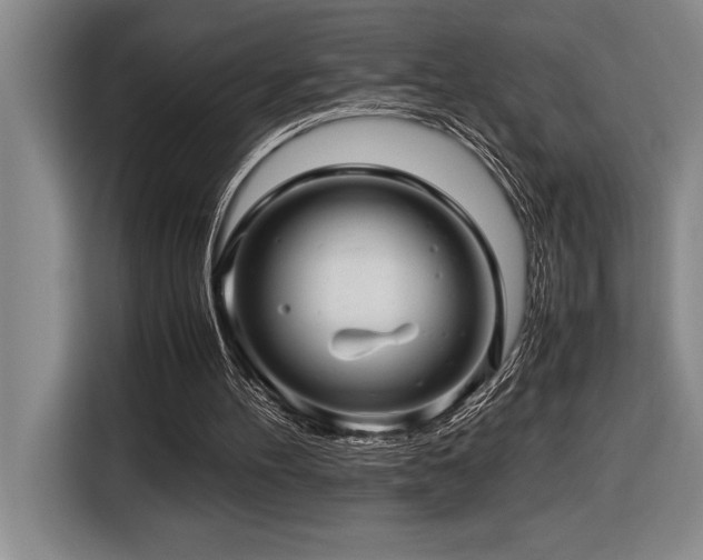 X0000116680100200912141440