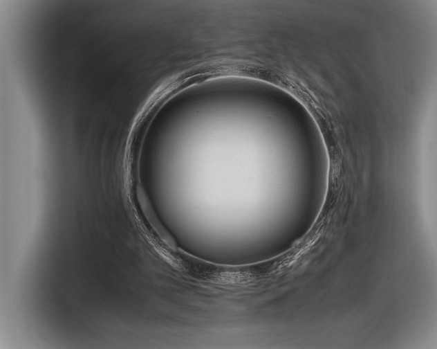 X0000116680101200912141440