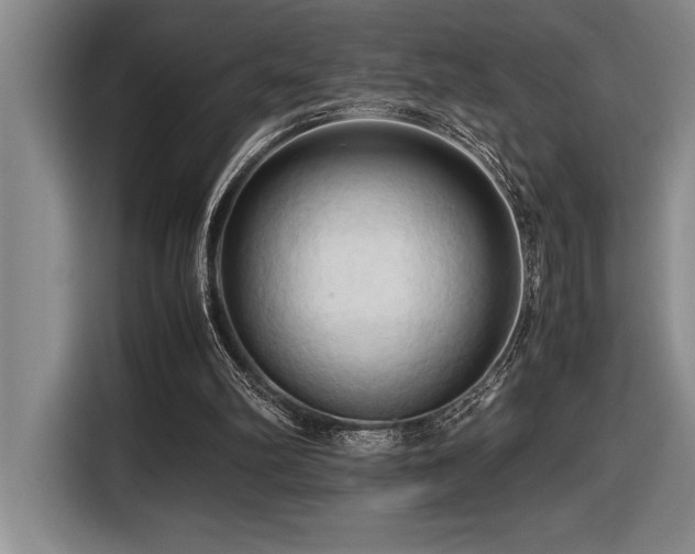 X0000116680102200912141440