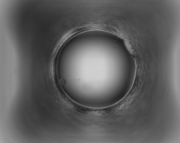 X0000116680103200912141440