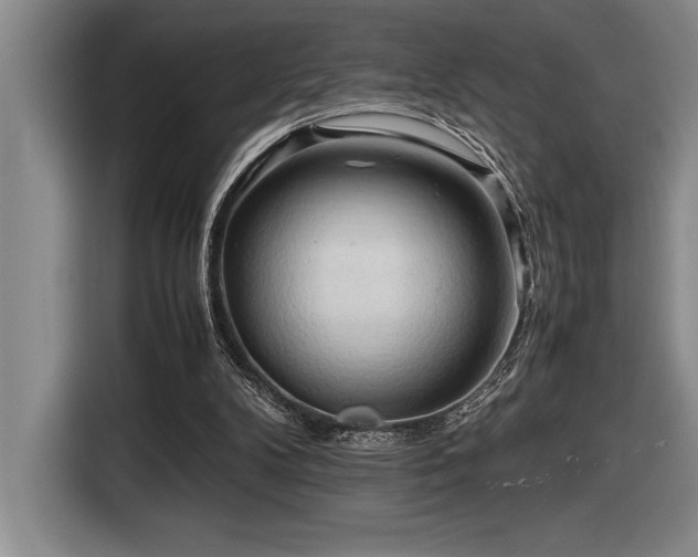 X0000116680104200912141440