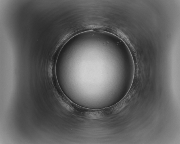 X0000116680106200912141440