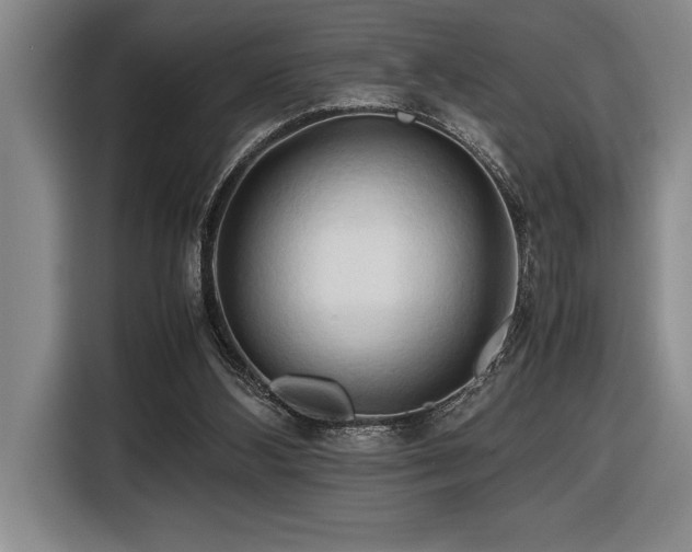 X0000116680108200912141440