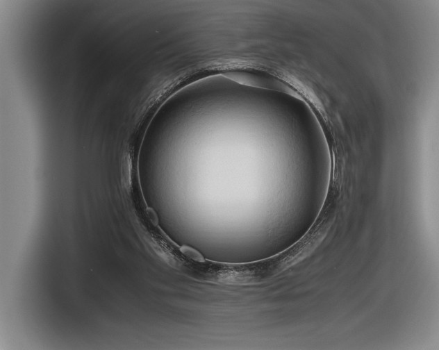 X0000116680109200912141440