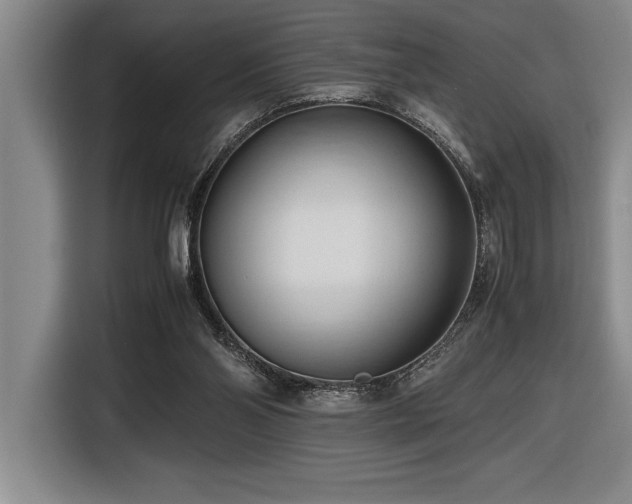 X0000116680110200912141440