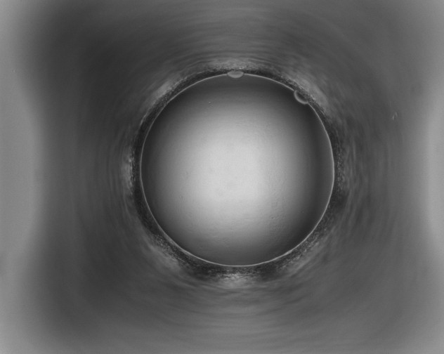 X0000116680111200912141440