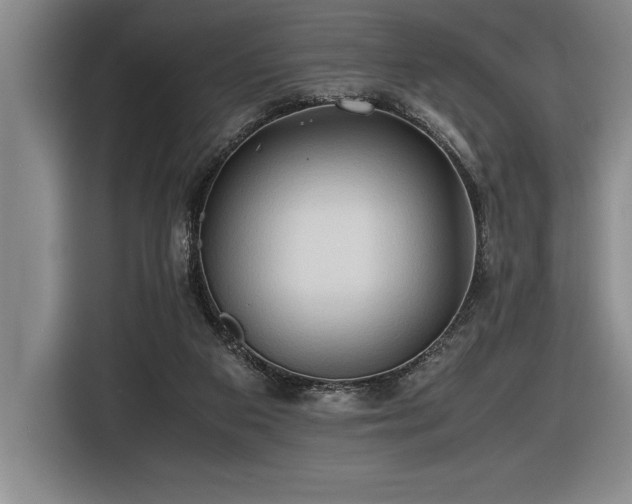 X0000116680113200912141440