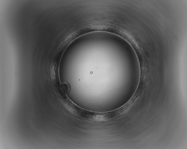 X0000116680114200912141440