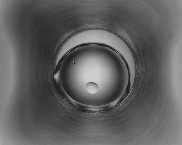 X0000116680116200912141440