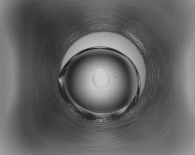 X0000116680117200912141440