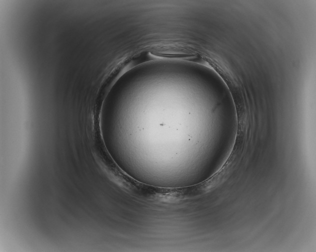 X0000116680120200912141440