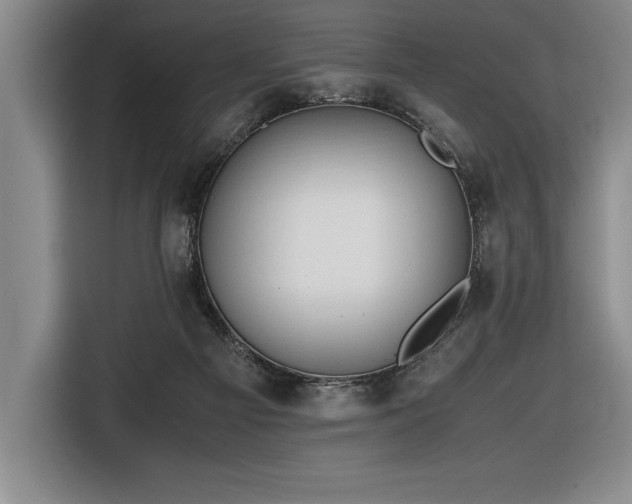 X0000116680121200912141440