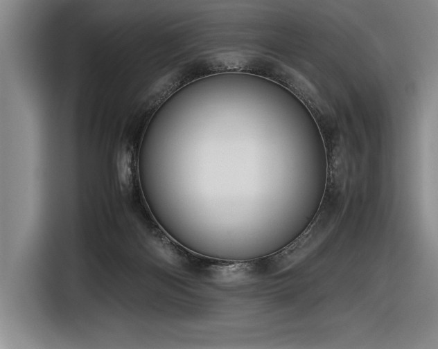 X0000116680122200912141440