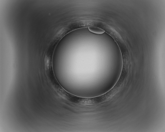 X0000116680123200912141440