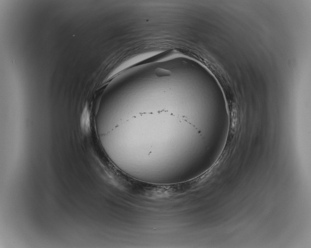 X0000116680124200912141440