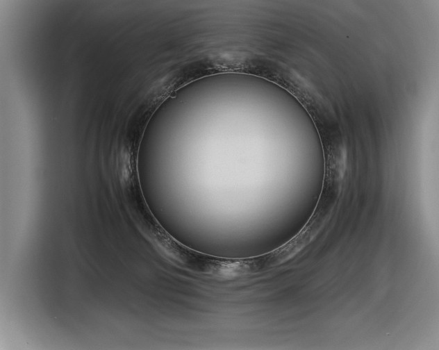 X0000116680130200912141439