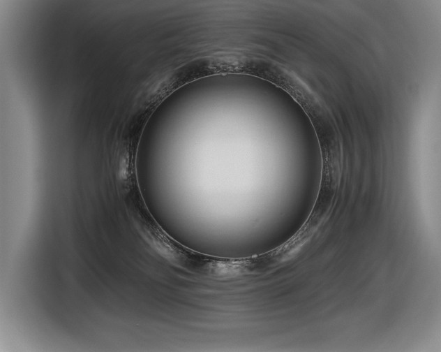 X0000116680134200912141439