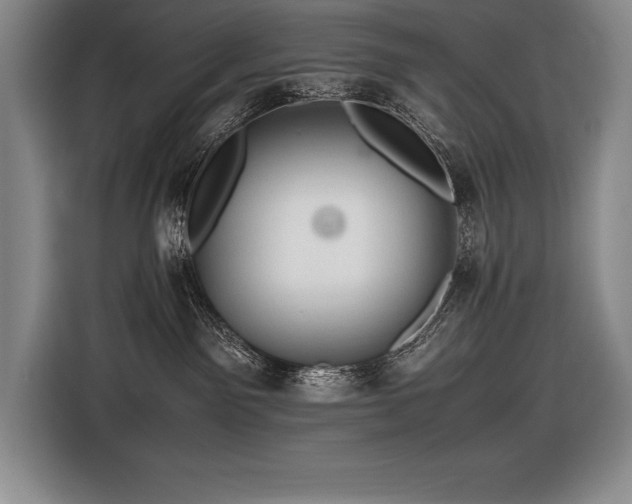 X0000116680141200912141439