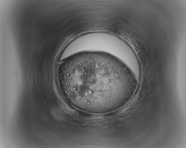 X0000116680145200912141439