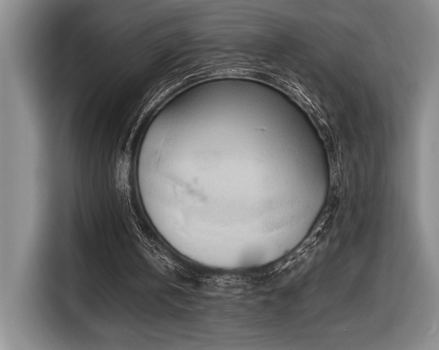 X0000116680146200912141439