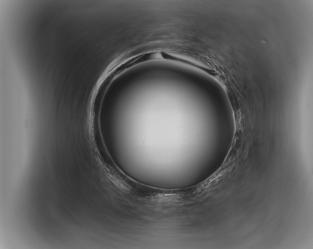 X0000116680150200912141439