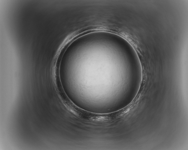 X0000116680151200912141439