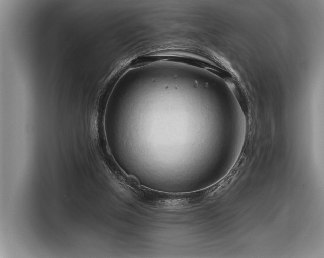 X0000116680154200912141439