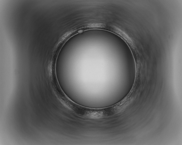 X0000116680155200912141439