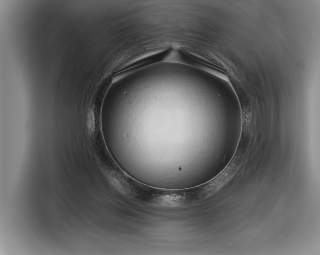 X0000116680158200912141439