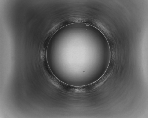 X0000116680165200912141439