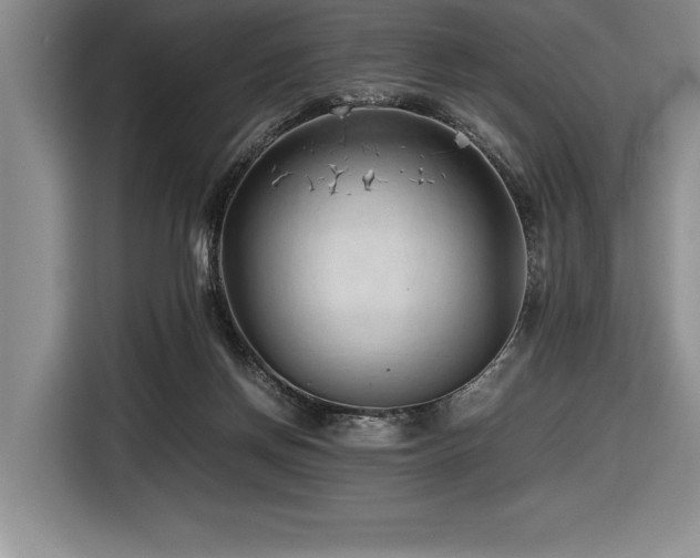 X0000116680166200912141439