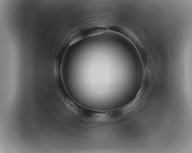 X0000116680170200912141439