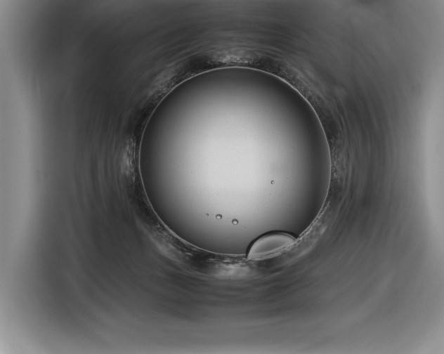 X0000116680175200912141439