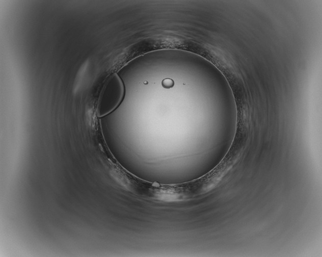 X0000116680177200912141439