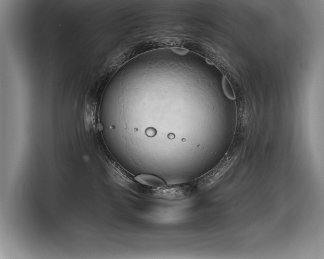 X0000116680185200912141439