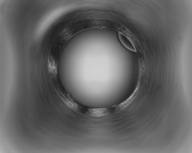 X0000116680191200912141439