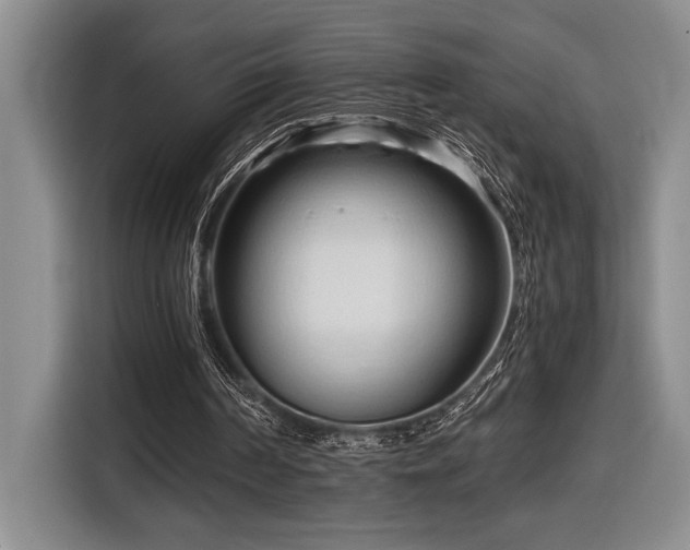 X0000116680194200912141439