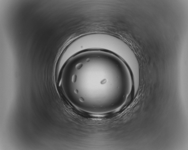 X0000116680195200912141439