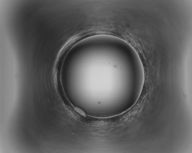 X0000116680197200912141439