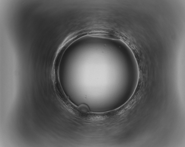 X0000116680198200912141439