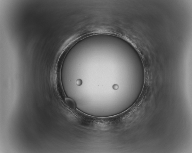 X0000116680199200912141439