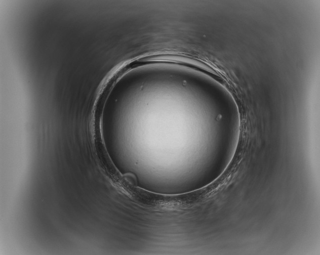 X0000116680200200912141439