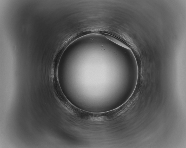 X0000116680202200912141439