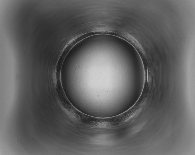 X0000116680204200912141438