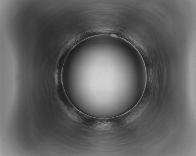 X0000116680206200912141438