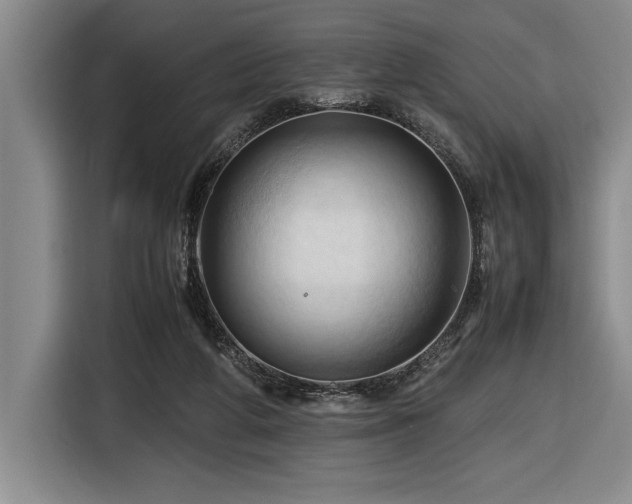 X0000116680210200912141438