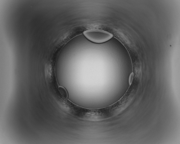 X0000116680211200912141438