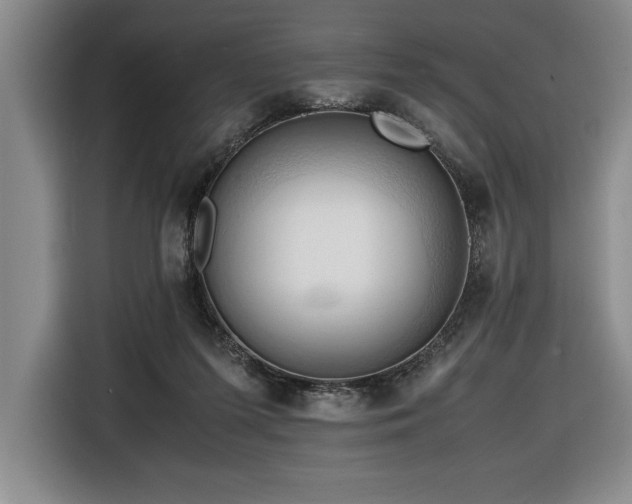 X0000116680215200912141438